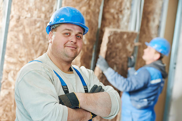 Best Geographic-Specific Insulation Services in North Aurora, IL